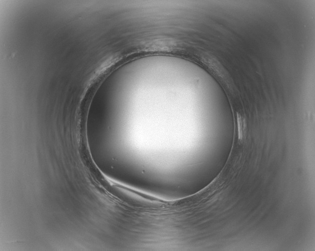 X0000060740675200512011420