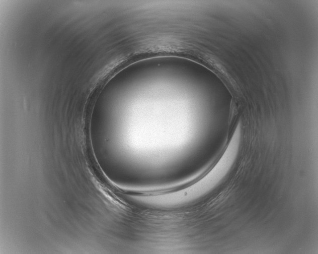 X0000060740677200512011420