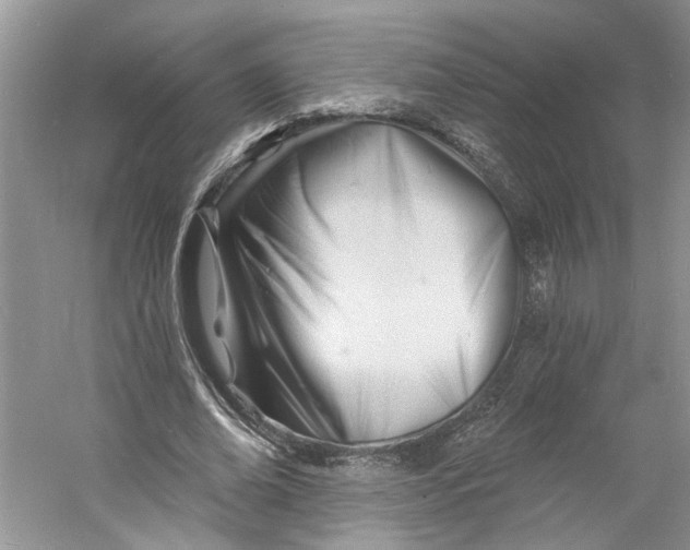 X0000060740678200512011420