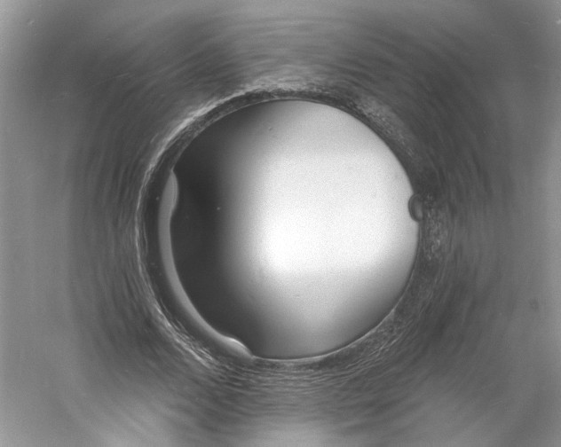 X0000060740680200512011420