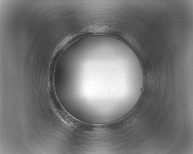 X0000060740682200512011420