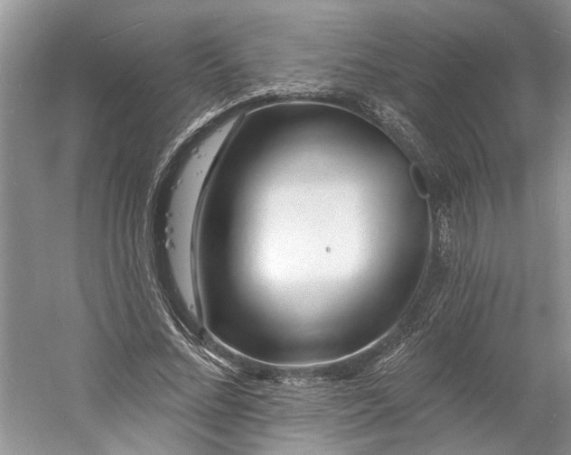 X0000060740684200512011420