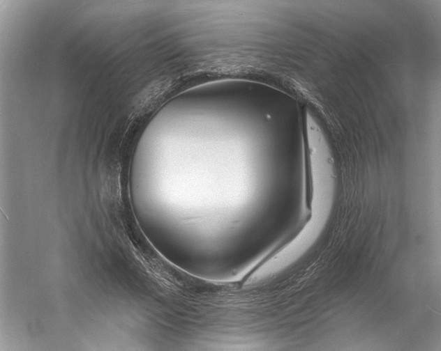 X0000060740685200512011420