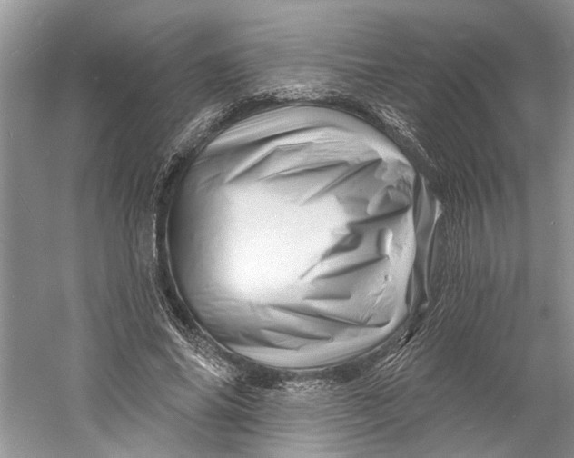 X0000060740686200512011420