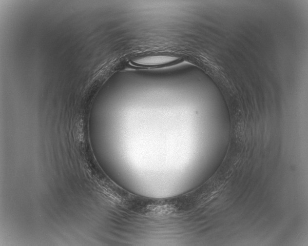 X0000060740689200512011420