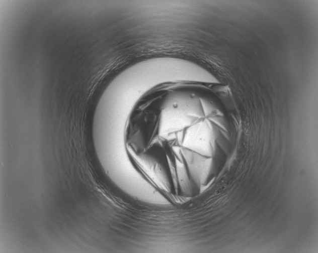 X0000060740691200512011420