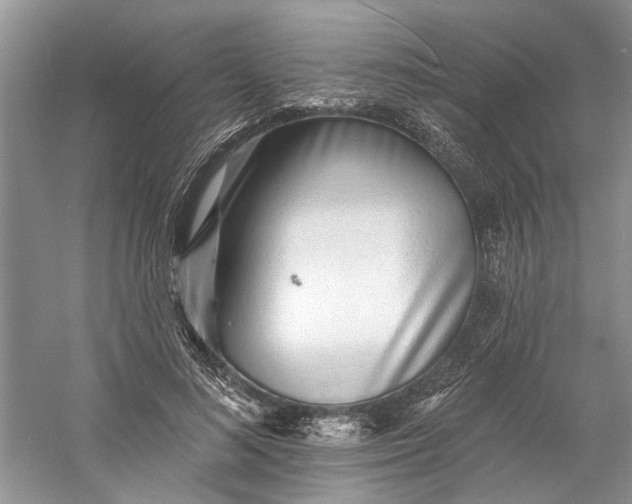 X0000060740692200512011420