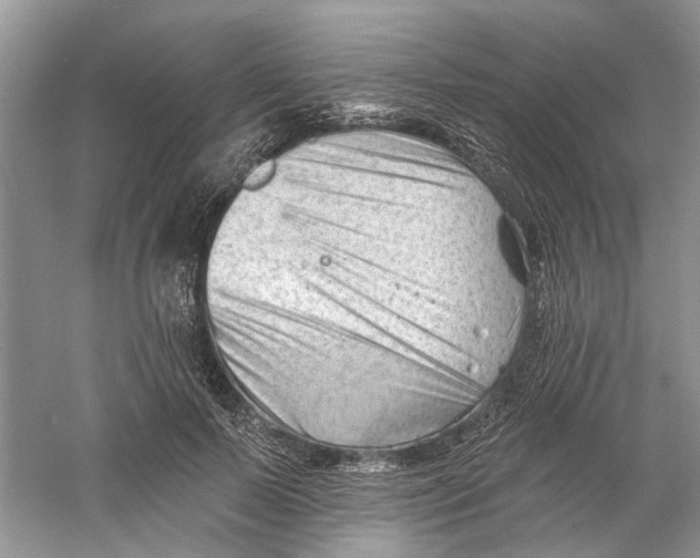 X0000060740695200512011420