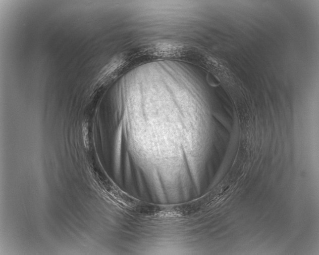 X0000060740696200512011420