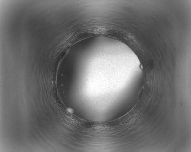 X0000060740697200512011420