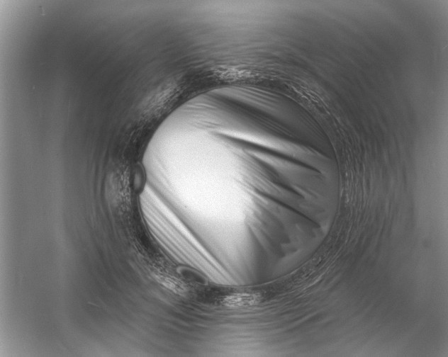 X0000060740700200512011420