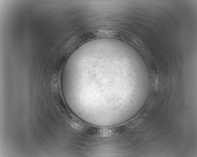 X0000060740701200512011420