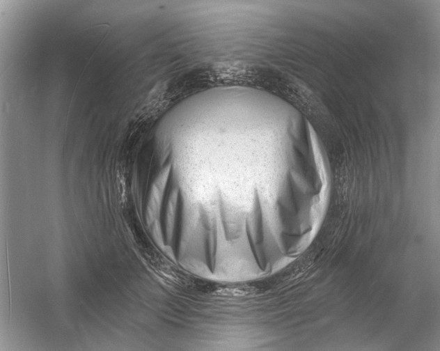 X0000060740703200512011420