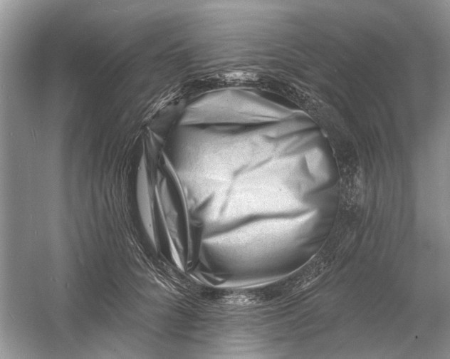 X0000060740704200512011420