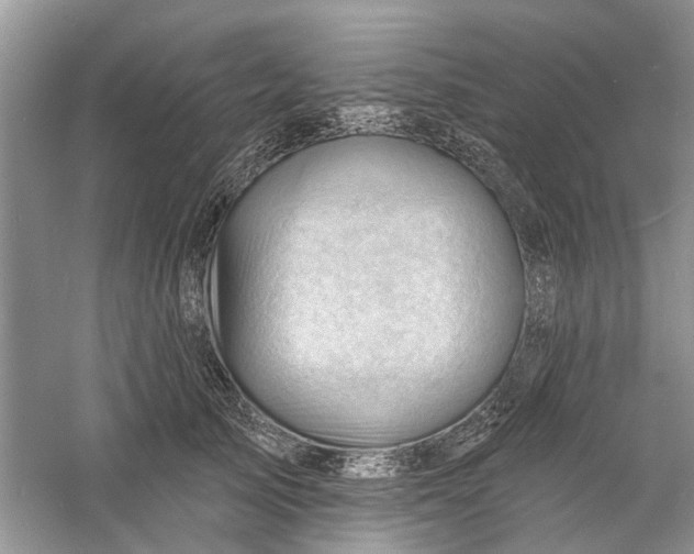 X0000060740705200512011420