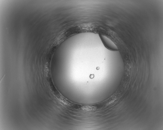 X0000060740707200512011420