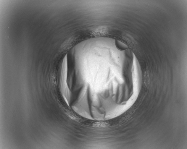 X0000060740714200512011420