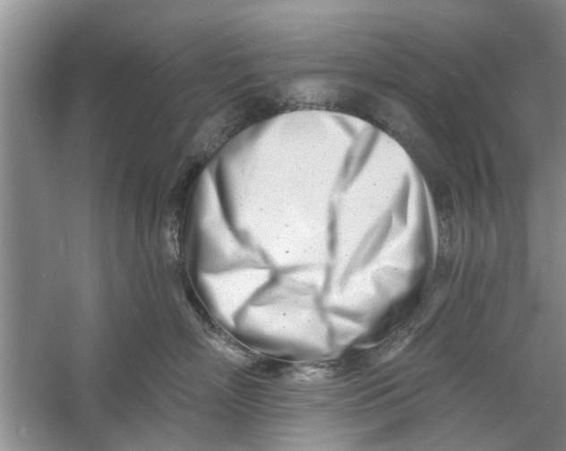 X0000060740718200512011420