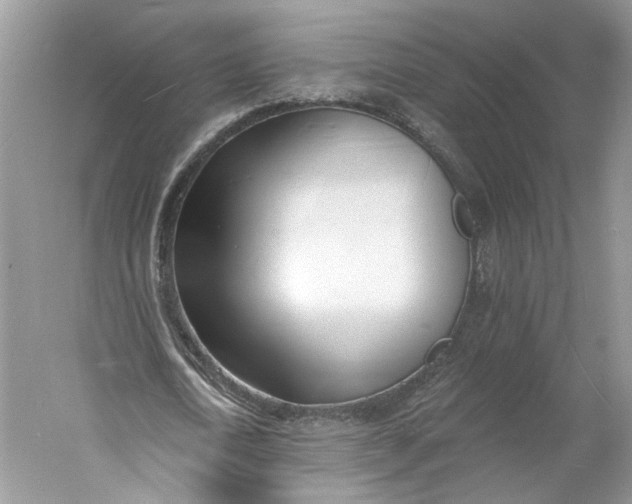 X0000060740722200512011419