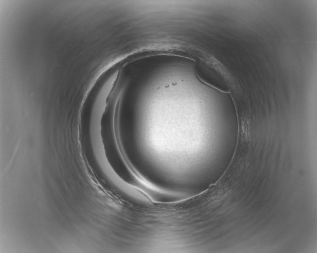 X0000060740724200512011419