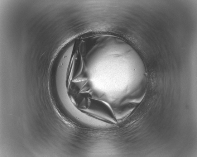 X0000060740728200512011419