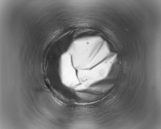 X0000060740729200512011419