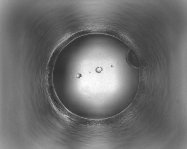 X0000060740730200512011419