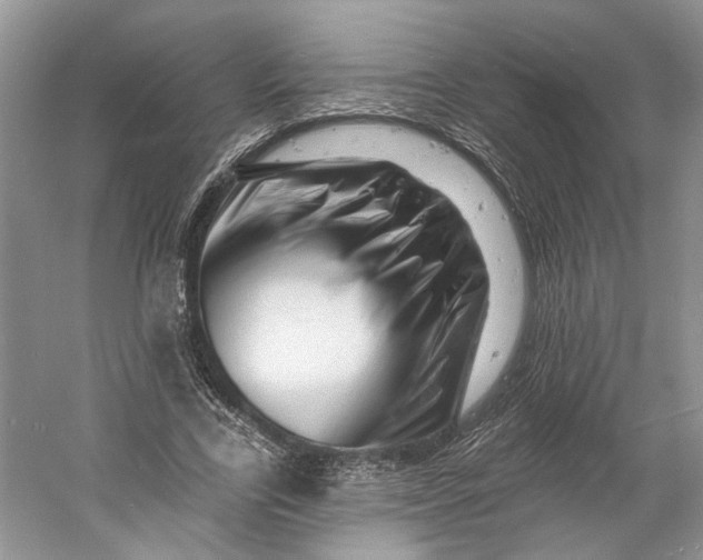 X0000060740731200512011419