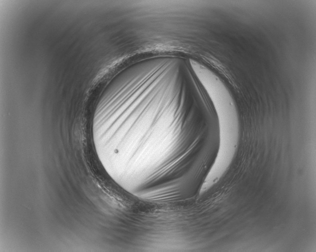 X0000060740732200512011419