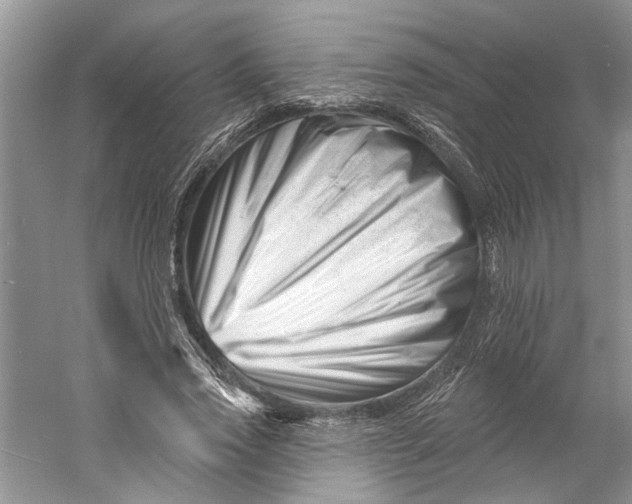 X0000060740733200512011419