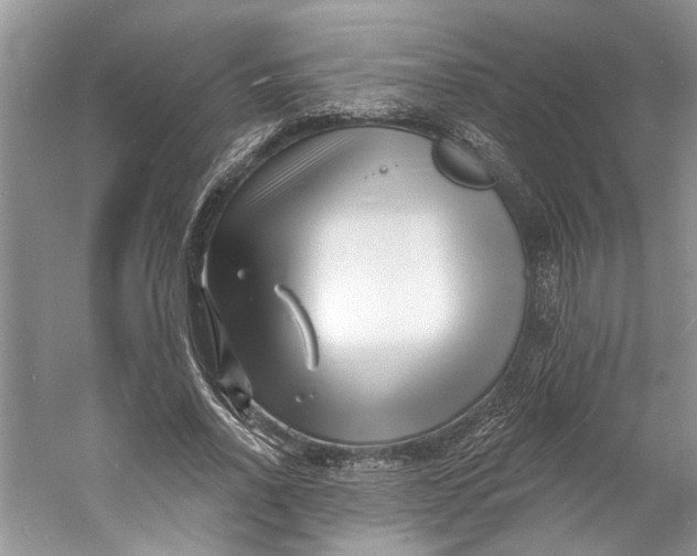 X0000060740734200512011419