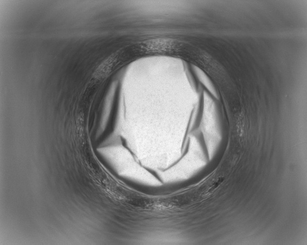 X0000060740737200512011419