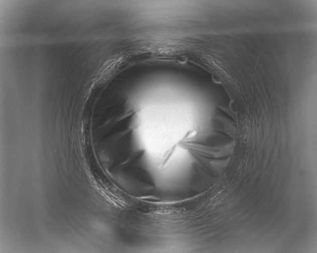 X0000060740738200512011419