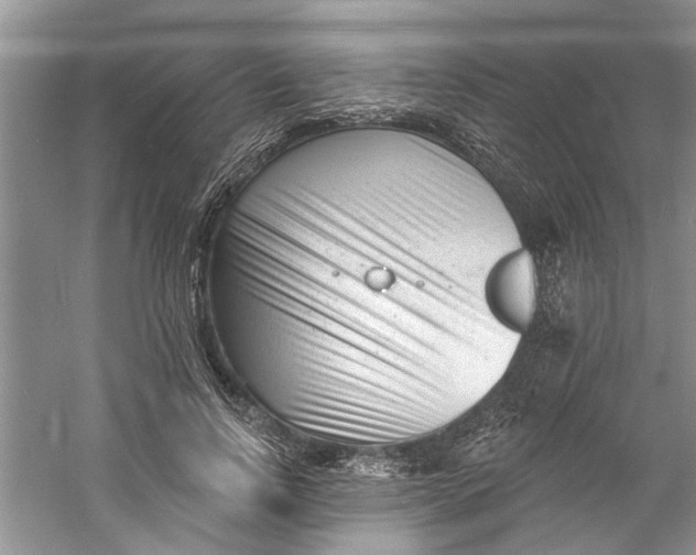 X0000060740742200512011419