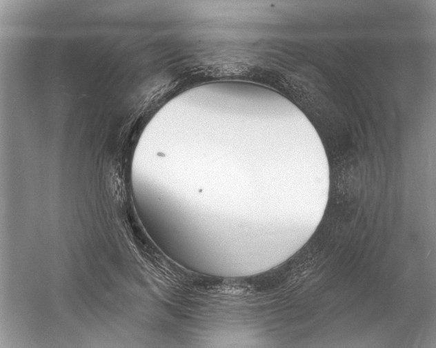 X0000060740743200512011419