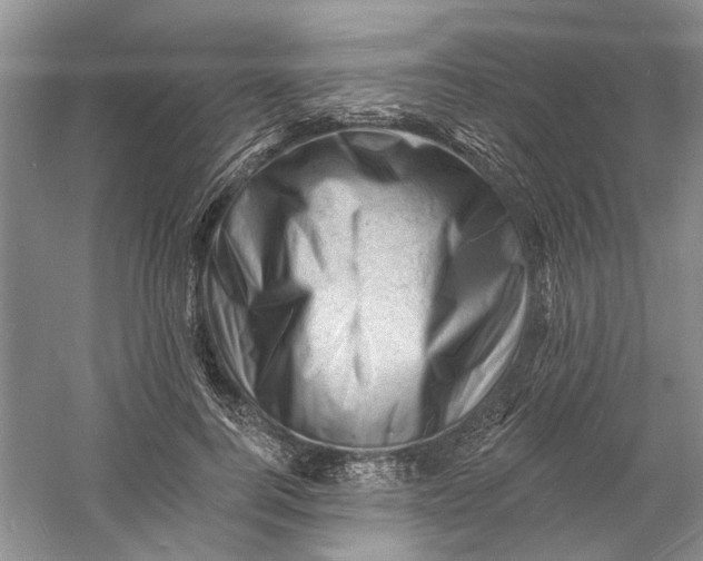 X0000060740744200512011419