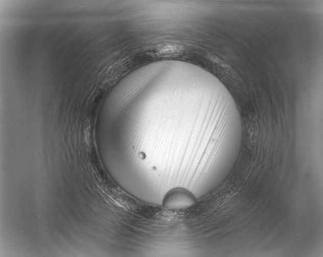 X0000060740745200512011419