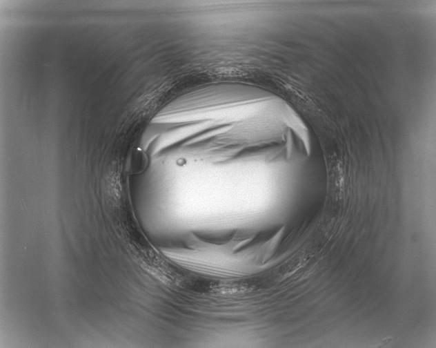 X0000060740746200512011419