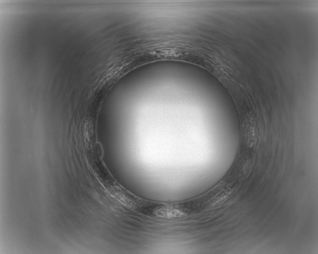 X0000060740747200512011419