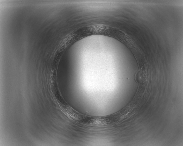 X0000060740750200512011419