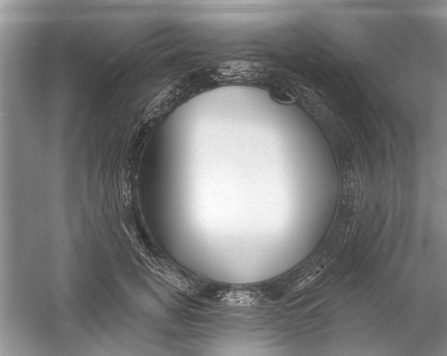 X0000060740751200512011419