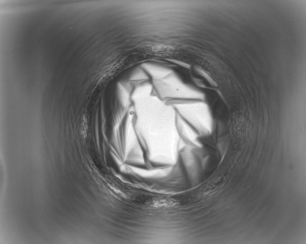 X0000060740752200512011419