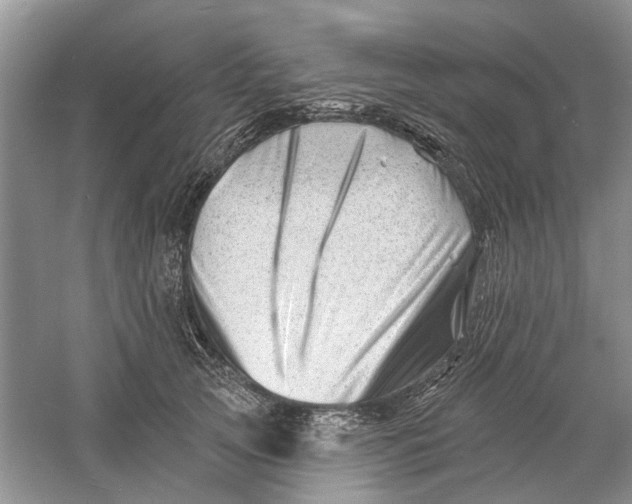 X0000060740753200512011419