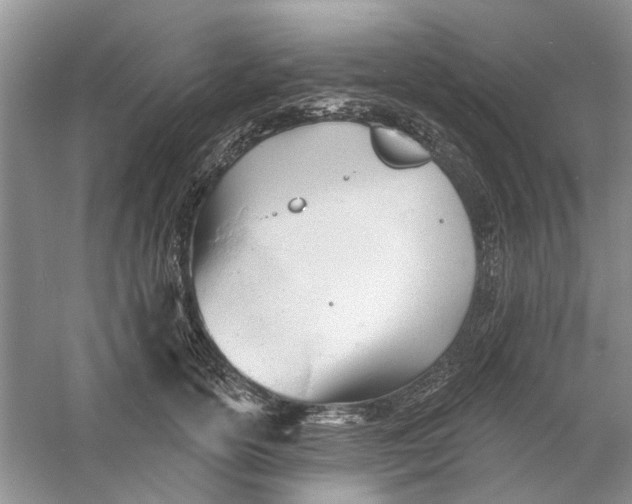 X0000060740754200512011419