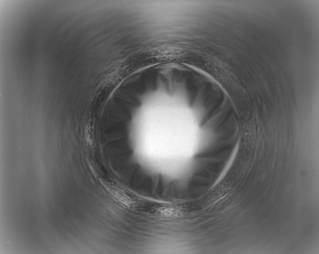 X0000060740755200512011419