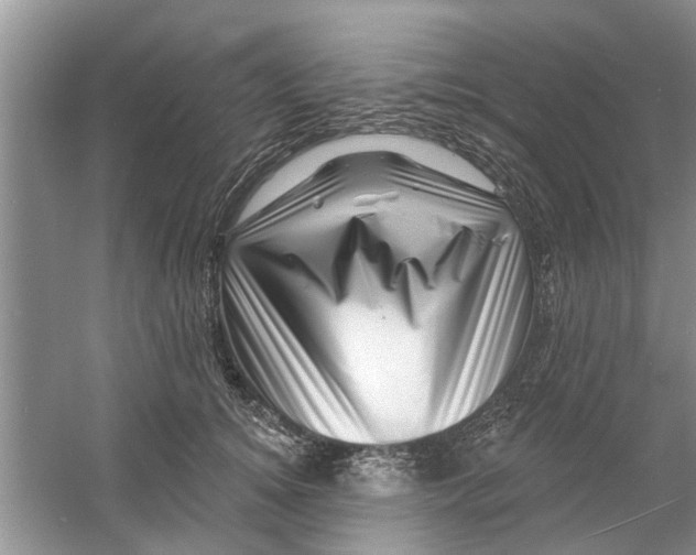 X0000060740756200512011419