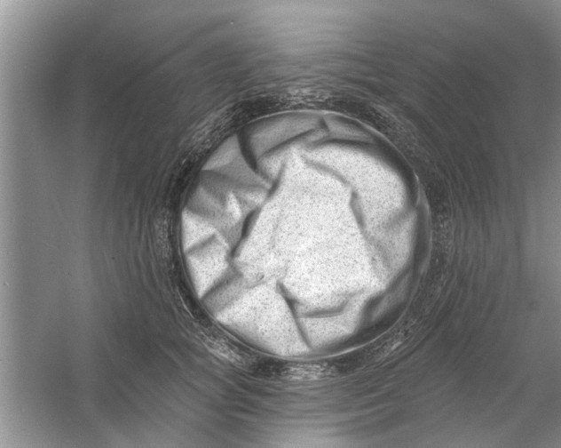 X0000060740757200512011419