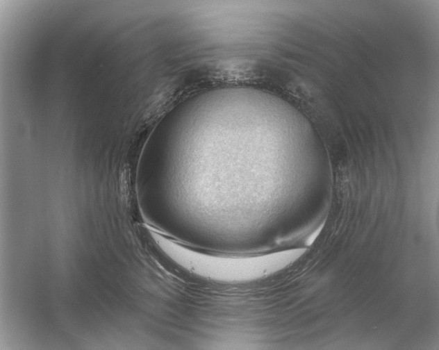 X0000060740760200512011420