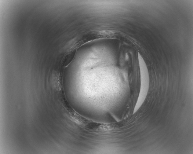 X0000060740764200512011420