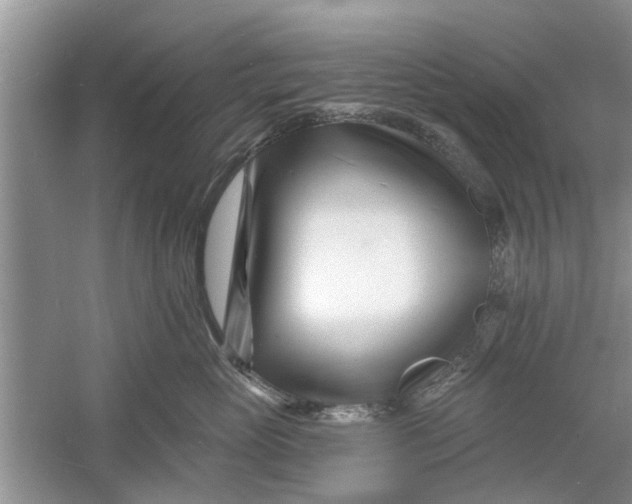 X0000060740765200512011420